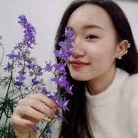 phounguyennguyen