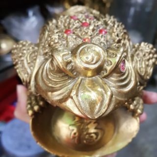 Cóc 3 Chân Thờ Thần Tài Bằng Đồng Nguyên Chất Cỡ To