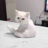 lananh17021976