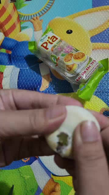 Bánh pía mini sầu riêng , 1 cây bánh 130g gồm 5 bánh nhỏ | Shopee Việt Nam