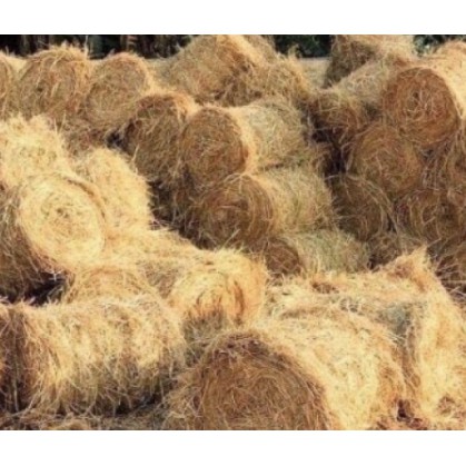 bán rơm cuộn khô (16_18kg) sỉ lẻ | Shopee Việt Nam