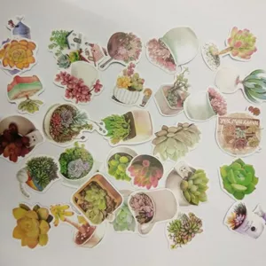 Bộ sticker xương rồng mini