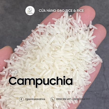 Túi 5KG Gạo Campuchia - Gạo hạt thon dài hạt trắng đục giữ được mùi vị lâu - Rice&Rice