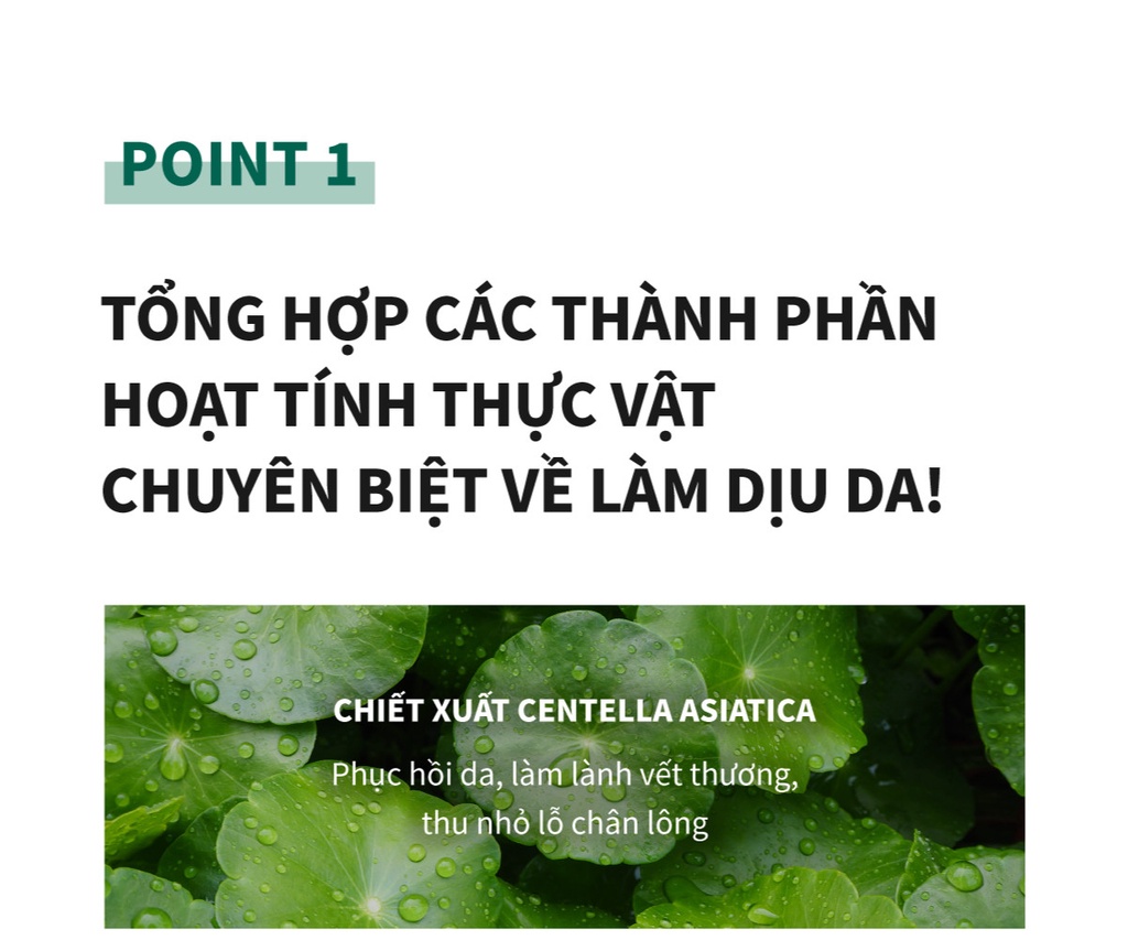 Mô tả Kem dưỡng ẩm phục hồi da nhạy cảm Caryophy Skin Repair Cream 50ml - 6