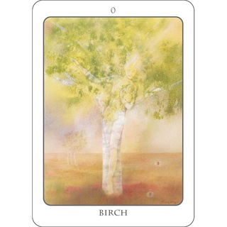 Bộ Bài Tree Angel Oracle (Mystic House Tarot Shop) - Bài Gốc Authentic Chính Hãng 100%