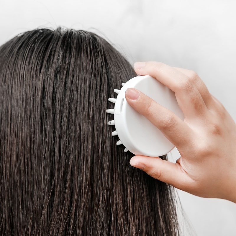 Lược Chải Tóc Massage Gỡ Rối Chăm Sóc Sức Khỏe Tạo Kiểu Tóc Xoăn Cho Salon