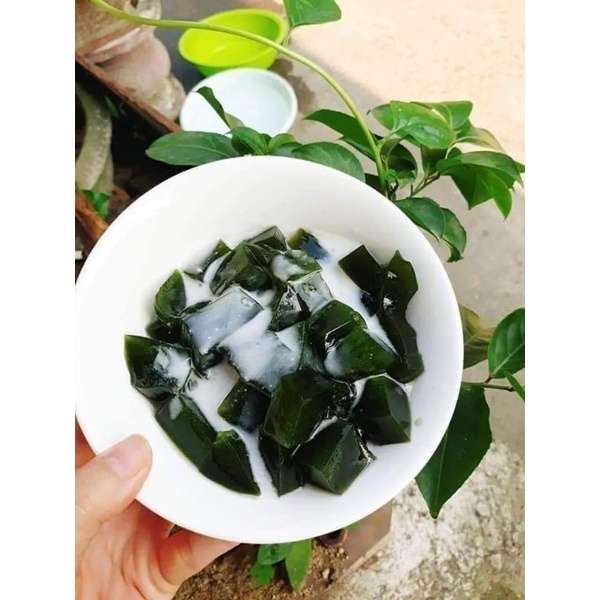 Hạt Giống Sâm Lông làm thạch ❤️ Bao Chuẩn❤️ chất lượng cao