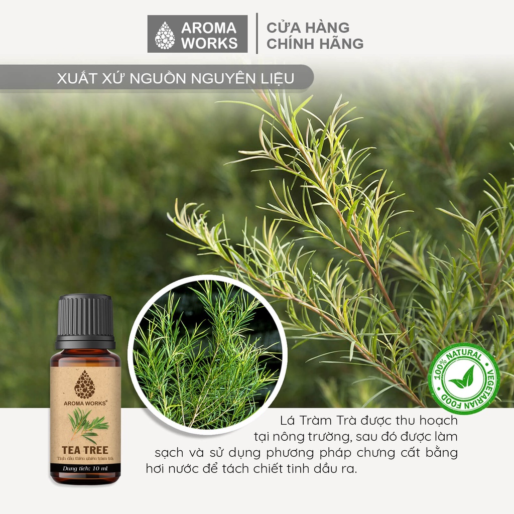 Mô tả Tinh Dầu Tràm Trà Aroma Works Xông Phòng, Ngăn Ngừa Mụn, Đuổi Muỗi, Khử Mùi - Tea Tree - 1