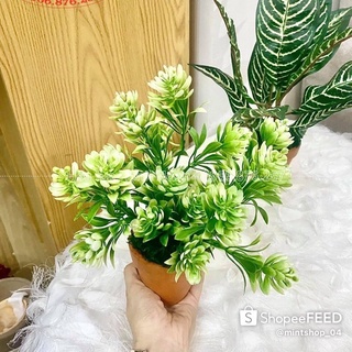 Sen đá nhựa cao cấp-Hoa giả