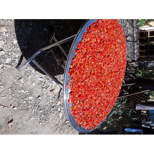 [LOẠI NGON] ỚT BỘT HUẾ SIÊU CAY 500g - Đặc sản Huế