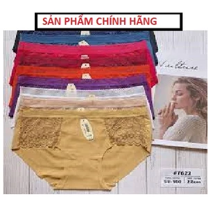 💖 SALE 50% 💖 Combo 10 Quần lót nữ lưới Phối ren 2 Bên Phong Cách Hàn Quốc
