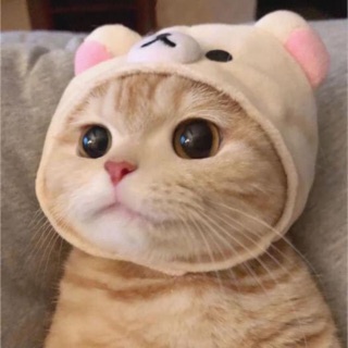 truclly_99