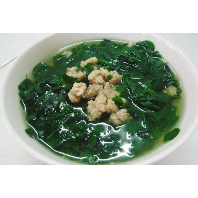 Chậu rau ngót- Cây rau vườn nhà, sạch, khỏe