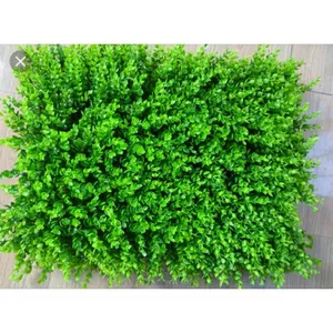 Thảm cỏ nhân tạo ( tai chuột, cải xoong,…)- cỏ giả trang trí