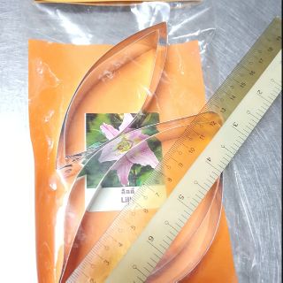 KHUÔN HOA LILY