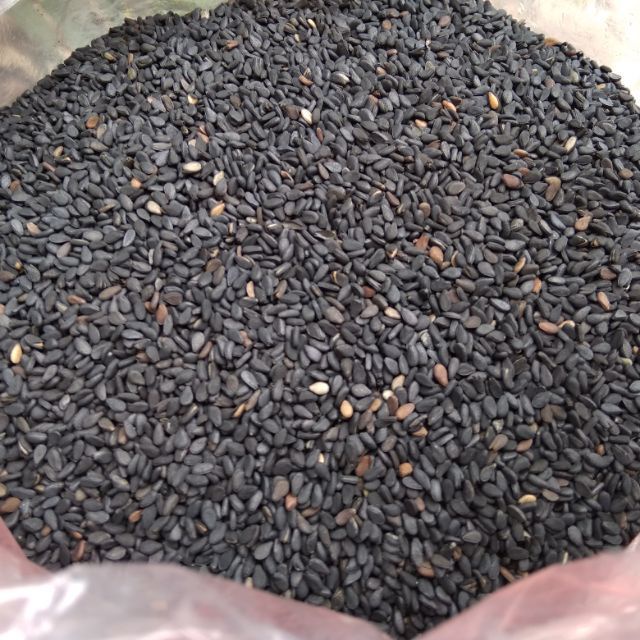 Hạt vừng đen khô thượng hạng JINDO 1kg tác dụng hỗ trợ bổ thận, bổ gan, bổ máu