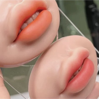 -Môi silicone 3d, 5d dùng cho luyện tập phun xăm