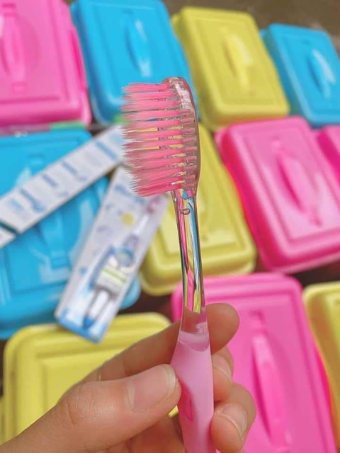 Bàn chải hàn quốc 5 k/1 c