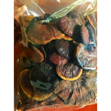 sỉ giá gốc nấm lim xanh 100g - 200g - 300g