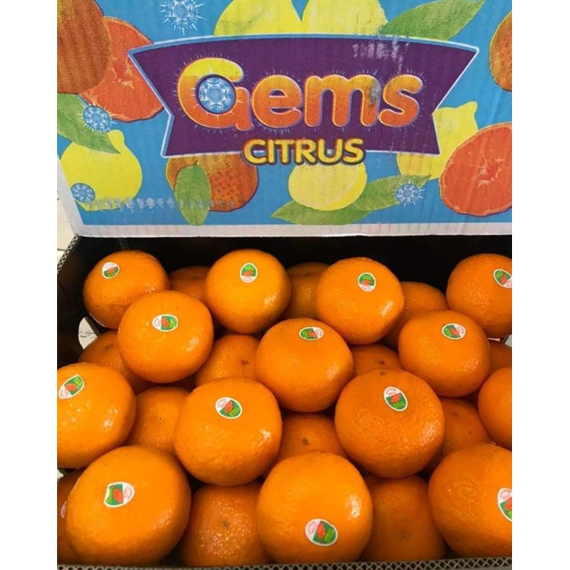 [ GIAO HỎA TỐC HCM ] [ JENNY FRUIT ] Set 1 kg Quýt Úc ngon ngọt
