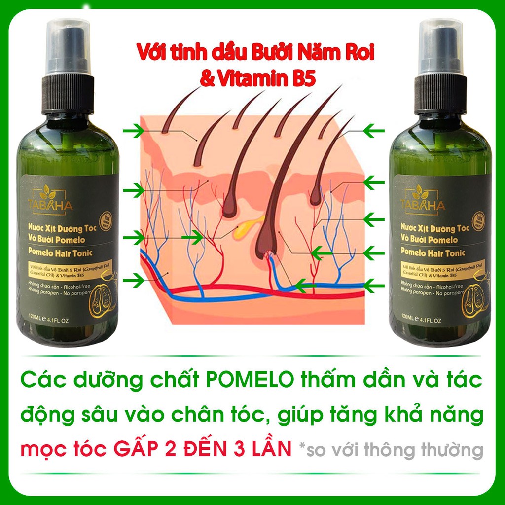 Ảnh Liệu trình 2 tháng 4 chai tinh dầu bưởi xịt mọc tóc Pomelo Tabaha (120ml x 4) giúp giảm rụng tóc, mọc tóc nhanh 2