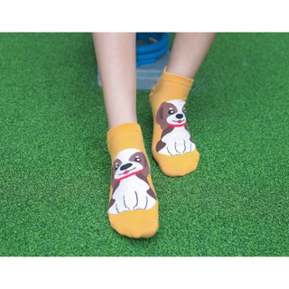 [MUA 2 TẶNG 1]Tất vớ nữ cổ ngắn hình thú Kikiya cao cấp Hàn Quốc W-A-017 (Chính Hãng)