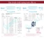 Máy lọc nước nóng lạnh mini để bàn Fujihome nhập khẩu, 4 cấp lõi lọc từ nguồn gia đình,màng siêu lọc UF Kortech Hàn Quốc