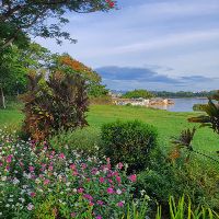 leaiquoc