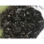 4728 [ Rẻ nhất ]4530 CHUN BUỘC TÓC 1K SIÊU DAI trinhvanthang11317 dinhphuonglien10221