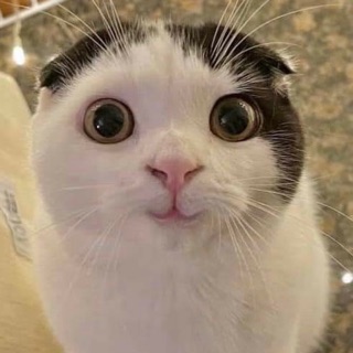 tieucun25