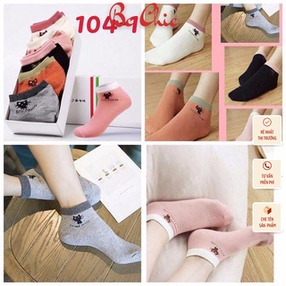 COMBO 5 ĐÔI TẤT MIU NỮ XITEEN BC_CHIC LINGERIE