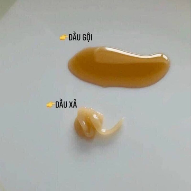 Combo 10 Gói Dầu Gội + 10 Gói Dầu Xả Chống Rụng Tóc Whoo Spa 5ml/gói