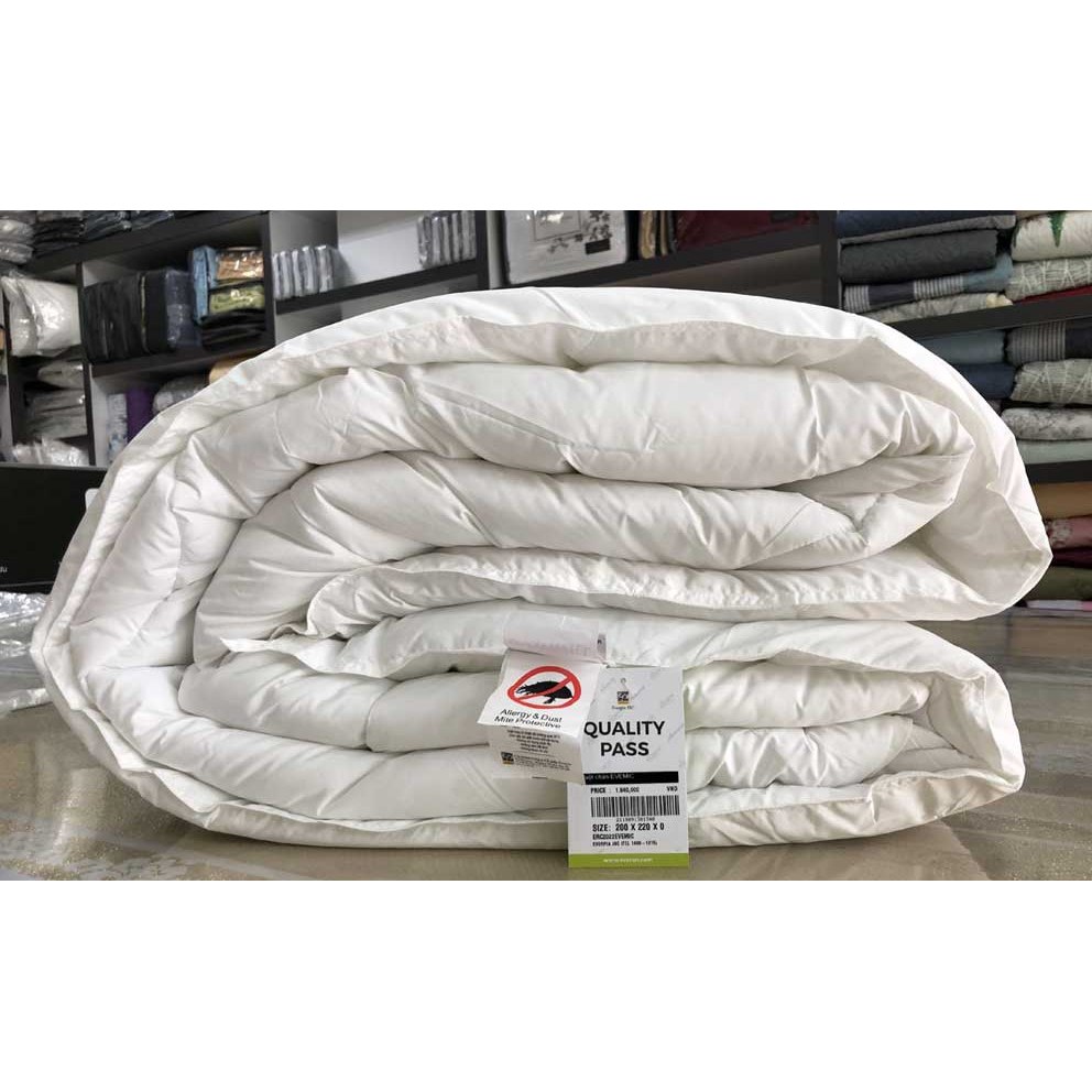 Ảnh Ruột Chăn Cao Cấp MICRO 4