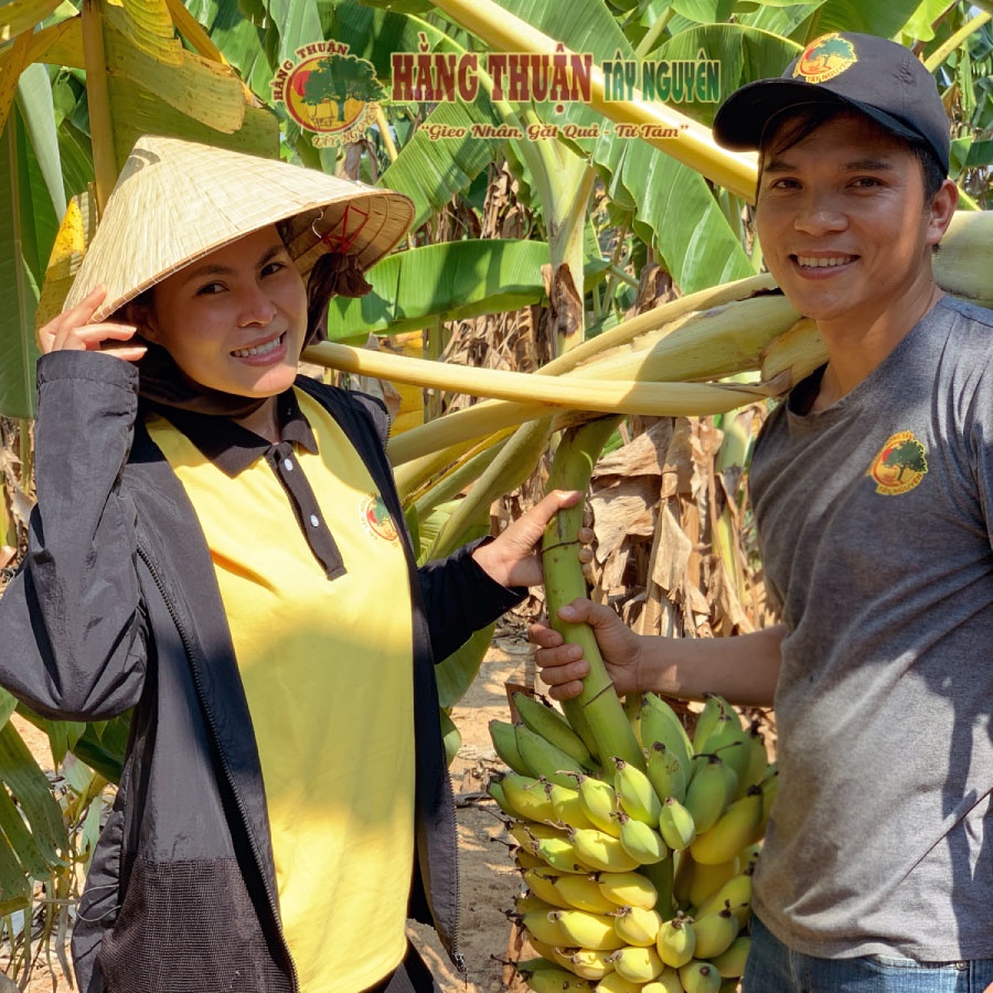 Chuối Sấy Dẻo Hằng Thuận Tây Nguyên