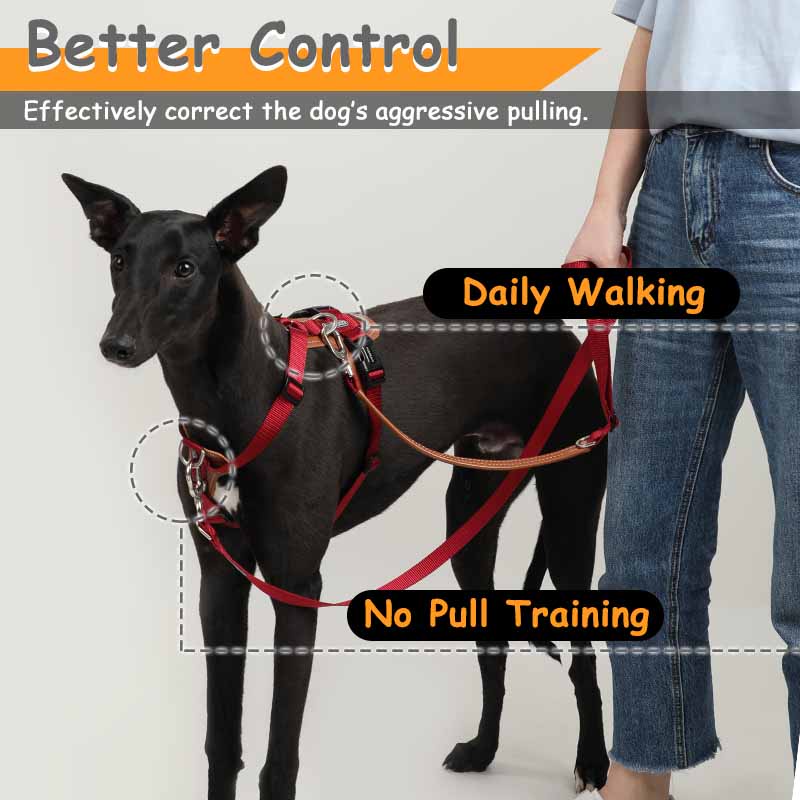 HamshMoc Không Kéo Chó Dây Da Có Thể Điều Chỉnh Áo Vest Thú Cưng Để Đi Bộ Dễ Dàng Với 2 Dây Xích Kẹp Nhỏ Vừa Chó Lớn 1