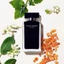 Nước hoa nữ Narciso Rodriguez EDT màu đen - Lia Perfume
