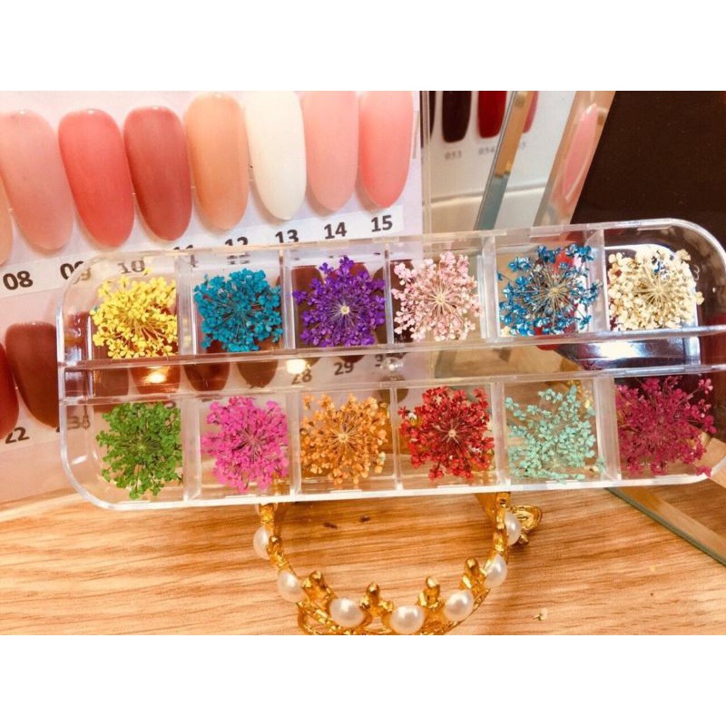 Hoa khô trang trí móng tay - Set 12 màu hoa chùm đắp gel ẩn phong cách Hàn Nhật