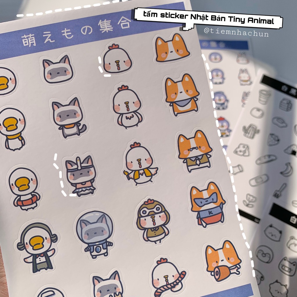 TẤM STICKER NHẬT BẢN TINY ANIMAL (ảnh thật) - Tiệm nhà Chun | Shopee ...