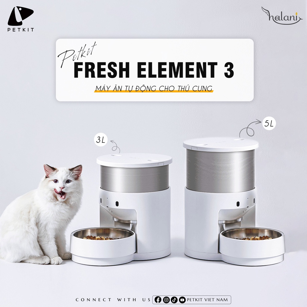 Ảnh Máy Nhả Hạt, Cho Mèo Ăn Tự Động Petkit Fresh Element Dung Tích 3L BH 18 Tháng 3