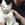 phamthithuylinh1012002