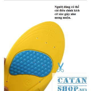 (Được chọn Size) Lót giày thể thao Yellow Sport chuyên dụng, Miếng lót giày cả bàn cao cấp siêu êm chân, khoáng khí
