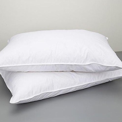 Ảnh Ruột Gối Đầu Trẻ Em 35*50 2