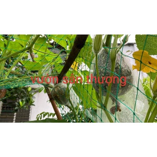 Lưới Trồng Cây (1 Mét), Làm Giàn, Dây Leo ,Khổ 2m, Cạnh 4x4 Cm