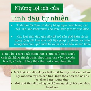 Tinh dầu xông thơm phòng cao cấp CAROLINE hương NƯỚC HOA  - Chính Hãng