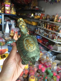 Rùa Bằng Đồng Cổ Long Quy Thọ Xanh Vật phẩm phong thuỷ bằng đồng
