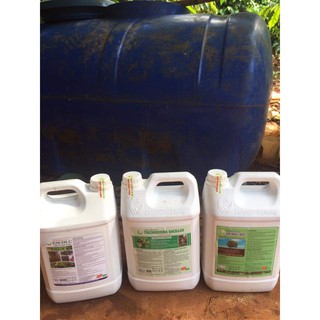 Siêu ra rễ can 5L, kích rễ mạnh