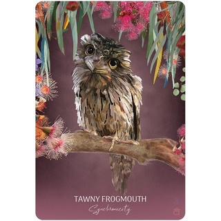 Bộ Bài Wild Wisdom Australia Oracle Cards (Mystic House Tarot Shop) - Bài Gốc Authentic Chính Hãng 100%
