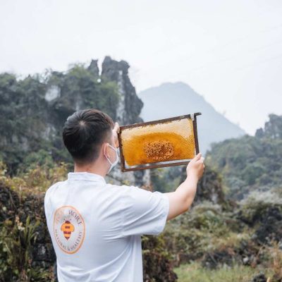 Ảnh Mật ong chín Honimore Hoa Miền Núi 630g - tặng hũ 360g 4