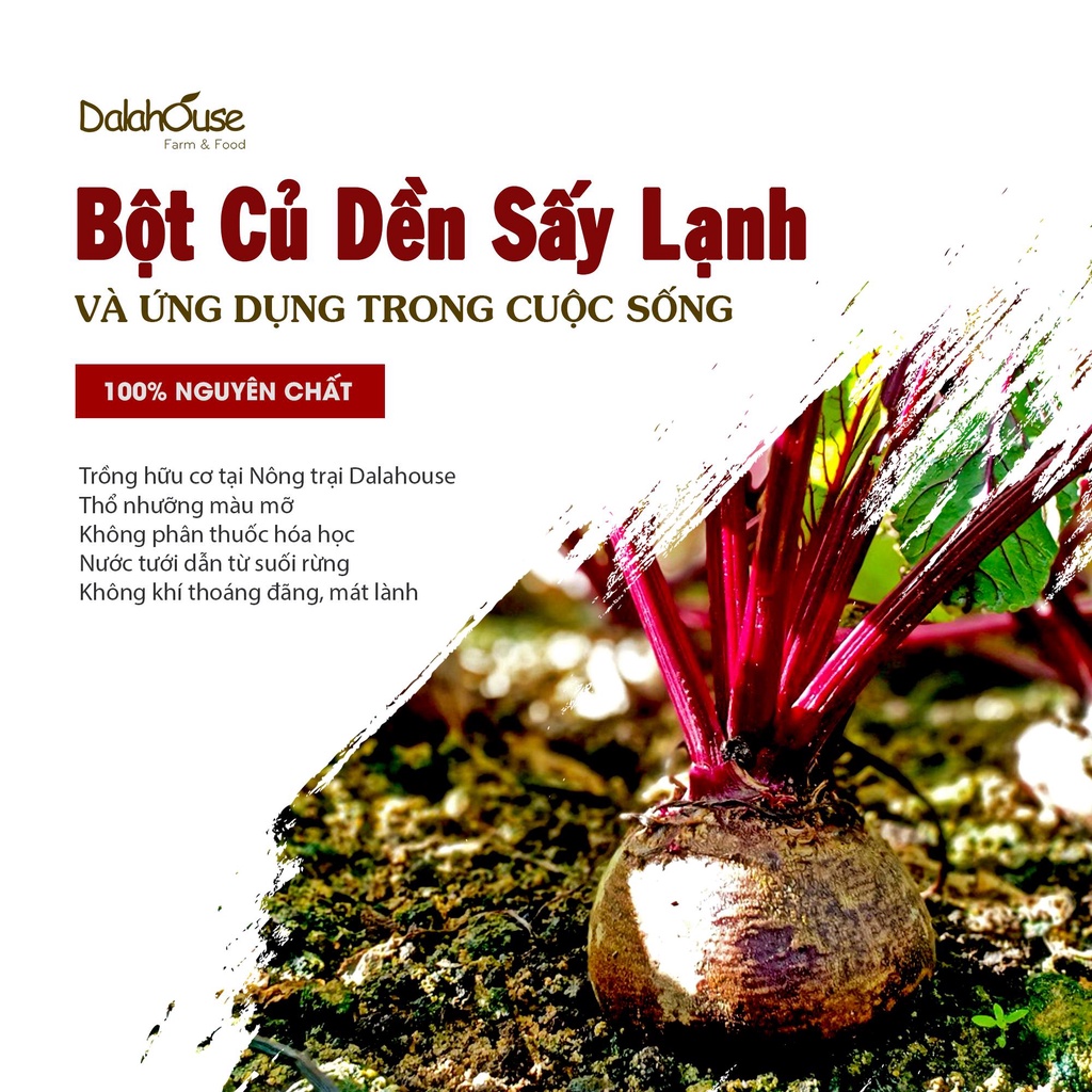 Ảnh Bột củ dền nguyên chất sấy lạnh Dalahouse 60gr organic giúp bổ máu, đạt tiêu chuẩn Châu Âu 2