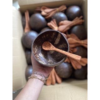 Bộ chén bát gáo dừa